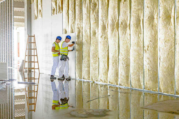 Insulation Replacement Services in Cleveland, WI